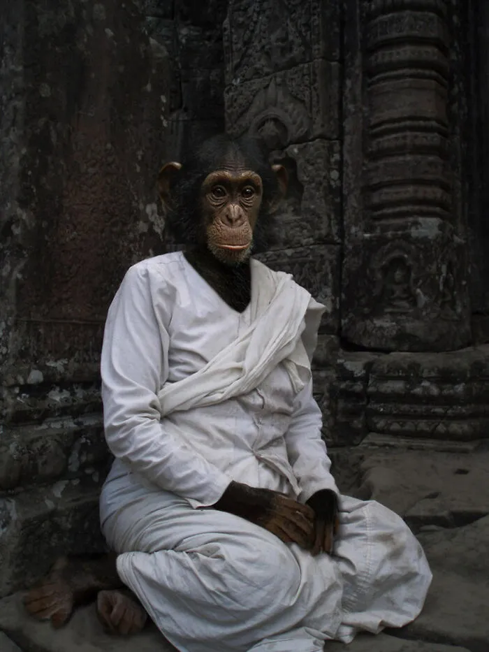 Designers Were Challenged To Dress-Up Animals In Human Clothing, Here Is How It Went (30 Pics)