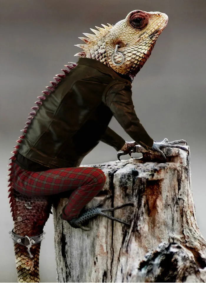Designers Were Challenged To Dress-Up Animals In Human Clothing, Here Is How It Went (30 Pics)