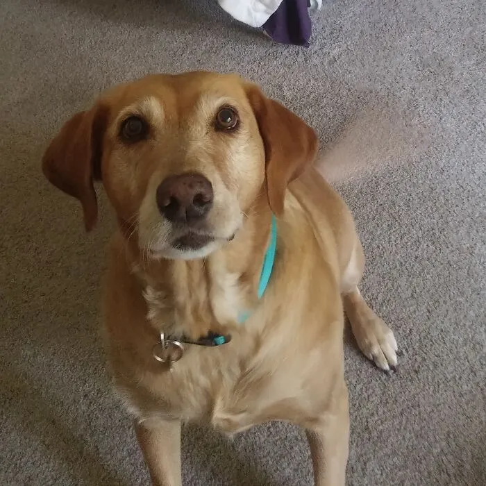Treat!!!