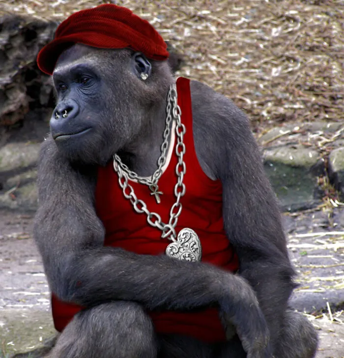 Designers Were Challenged To Dress-Up Animals In Human Clothing, Here Is How It Went (30 Pics)