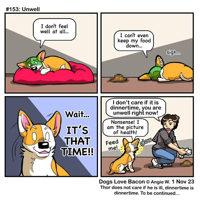 30 Comics About The Funny Reality Of Being A Dog Owner (New Pics)