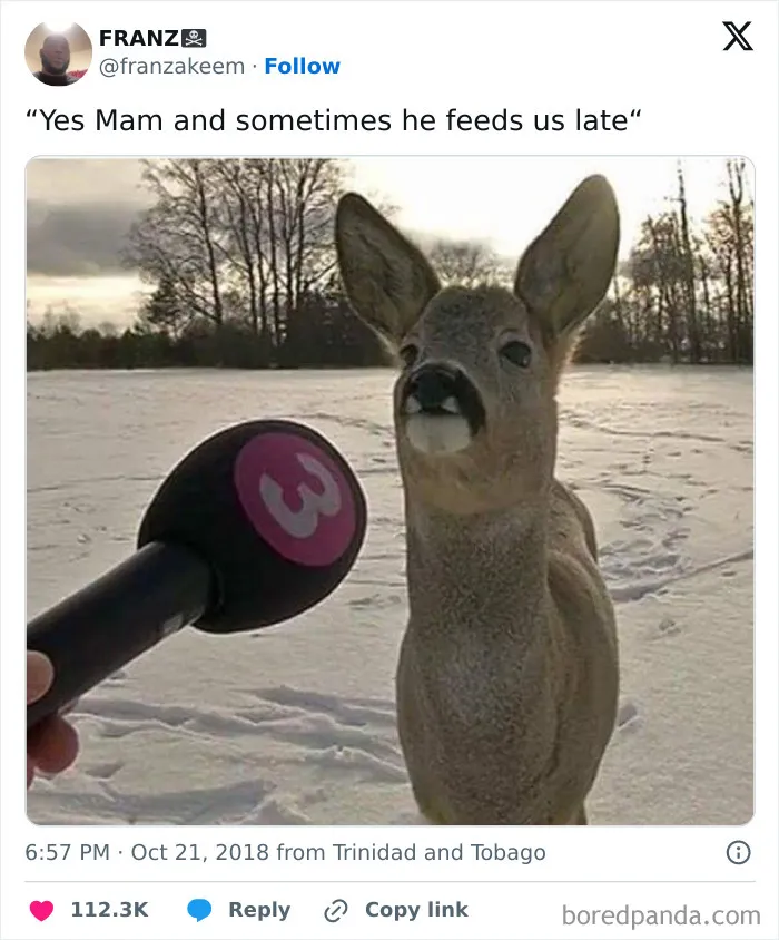 Yes Mam
