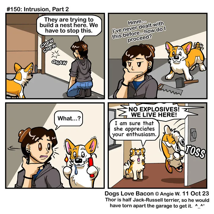 30 Comics About The Funny Reality Of Being A Dog Owner (New Pics)