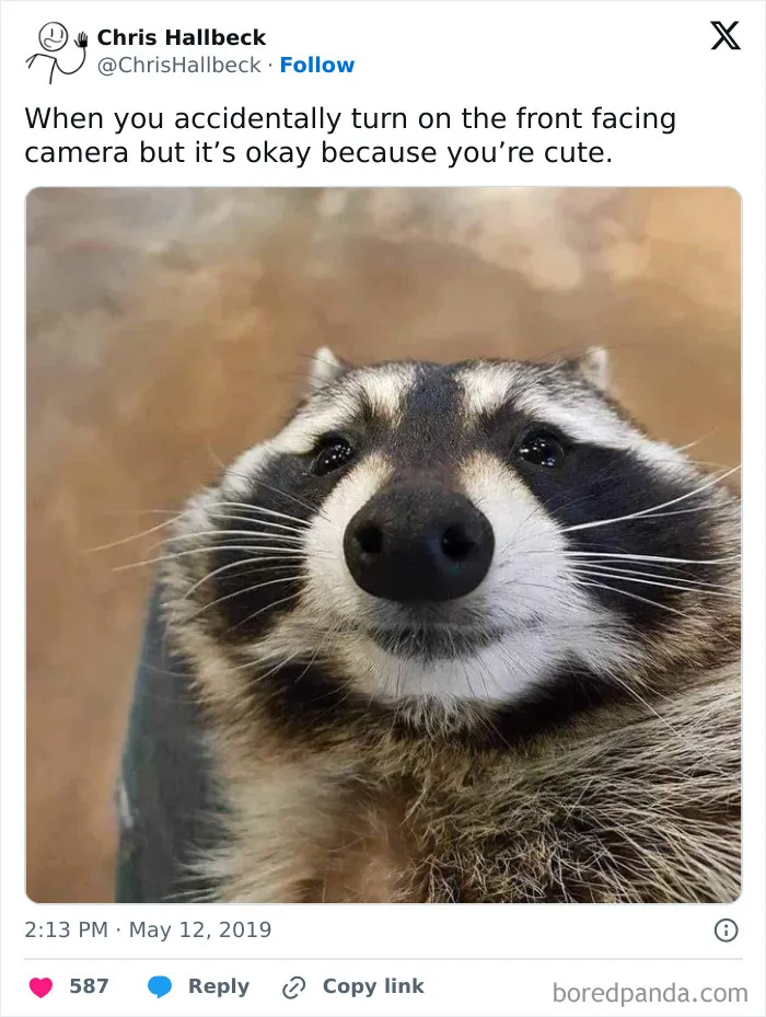 35 Relationship, Life, And Other Chucklesome Memes Shared In This Online Group With 513K Members