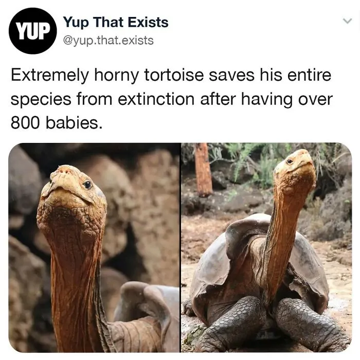 “Yup That Exists”: 50 Weird But Very Real Things, As Shared On This Online Page (New Pics)