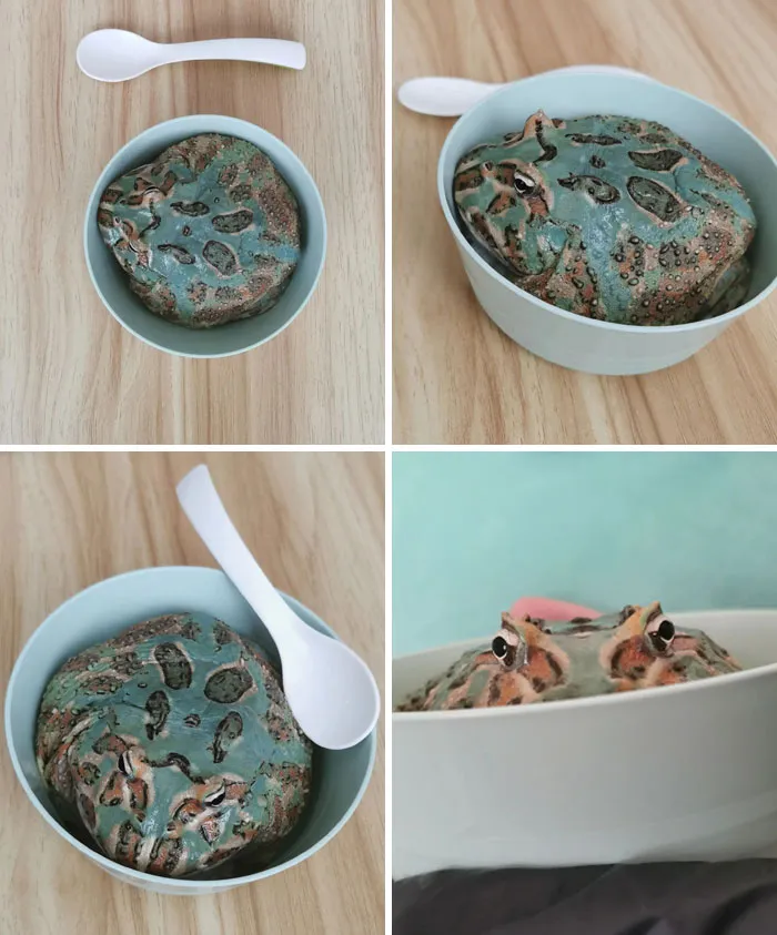 Mint Chocolate Chip Ice Cream