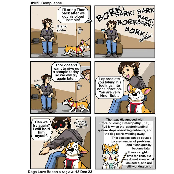 30 Comics About The Funny Reality Of Being A Dog Owner (New Pics)
