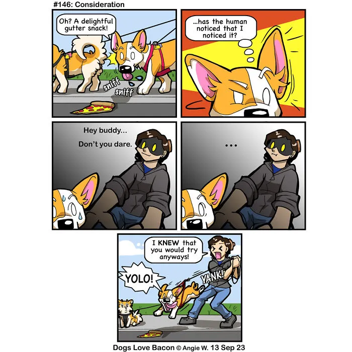 30 Comics About The Funny Reality Of Being A Dog Owner (New Pics)