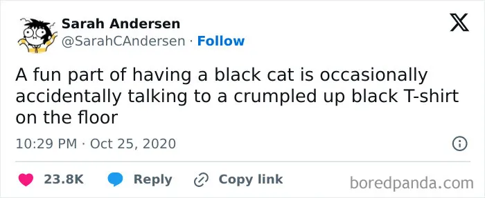 50 Hilarious And Relatable Memes Dedicated To All Things Feline