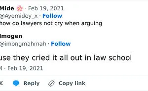 Attorneys At LOL: 30 Times Lawyers Had A Good Laugh About Their Profession From This IG Page