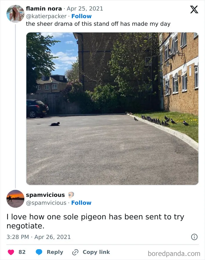50 Top-Quality Bird Memes To Make You Grin Today, As Shared By This Facebook Page