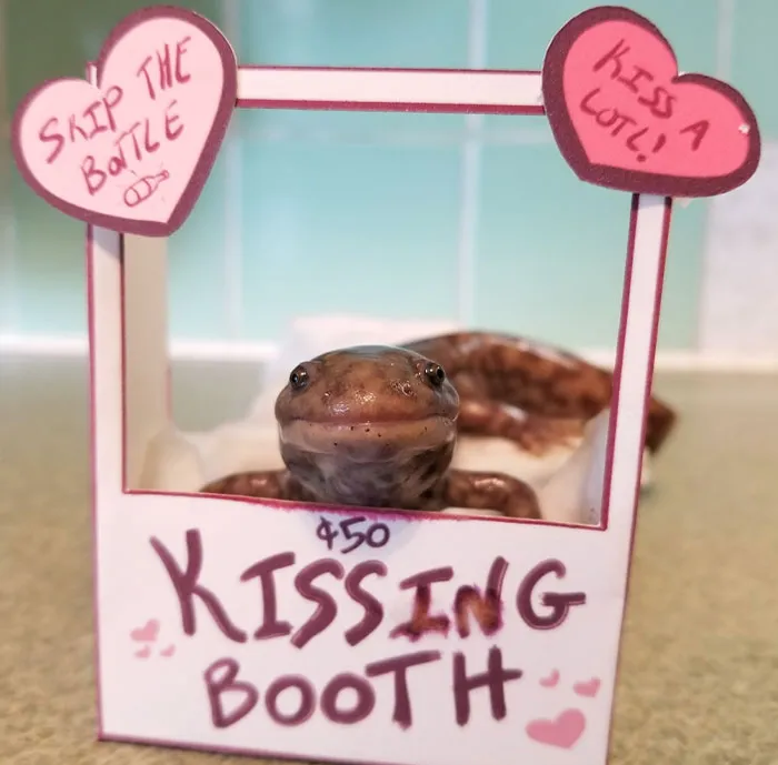 Happy Valentine's Day
