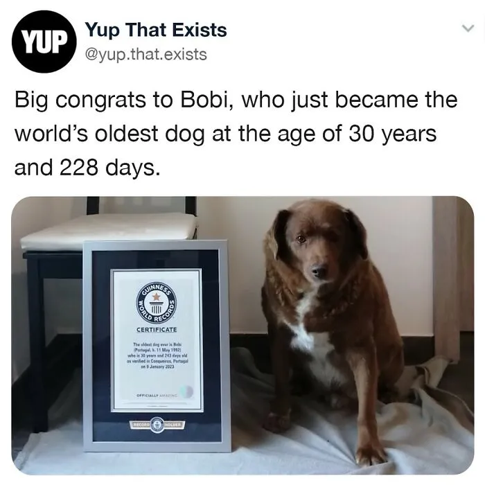 “Yup That Exists”: 50 Weird But Very Real Things, As Shared On This Online Page (New Pics)