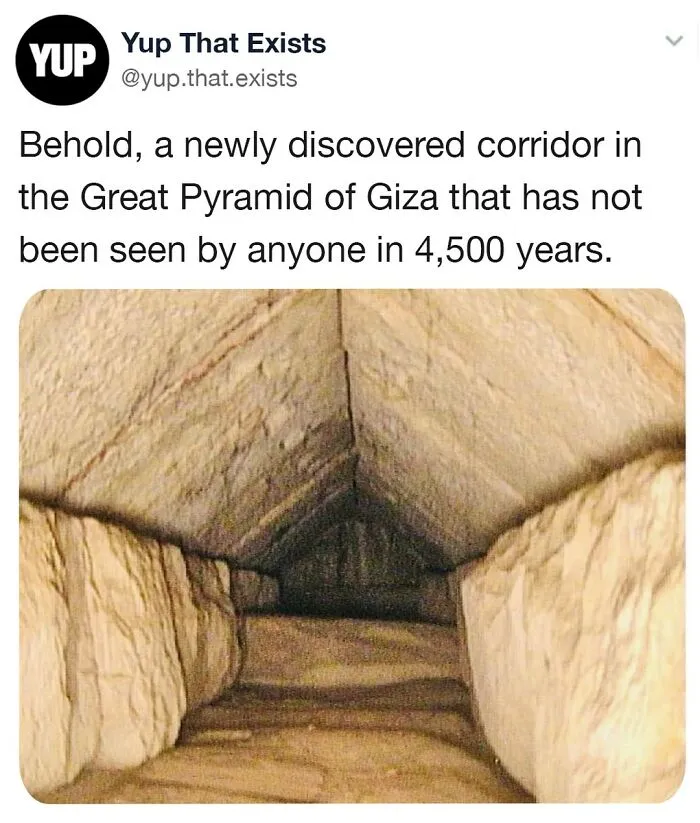 “Yup That Exists”: 50 Weird But Very Real Things, As Shared On This Online Page (New Pics)