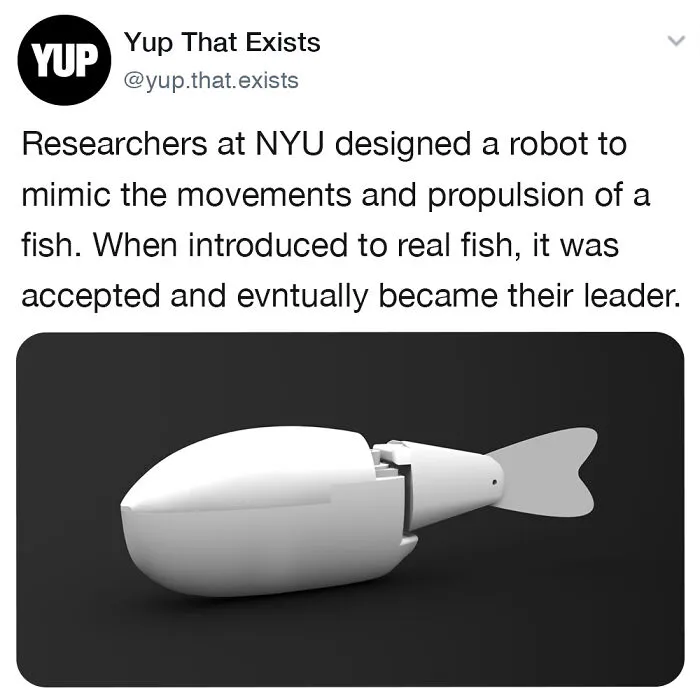 “Yup That Exists”: 50 Weird But Very Real Things, As Shared On This Online Page (New Pics)