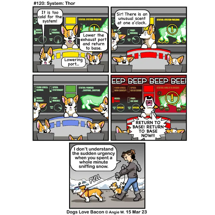 30 Comics About The Funny Reality Of Being A Dog Owner (New Pics)