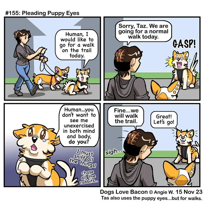 30 Comics About The Funny Reality Of Being A Dog Owner (New Pics)