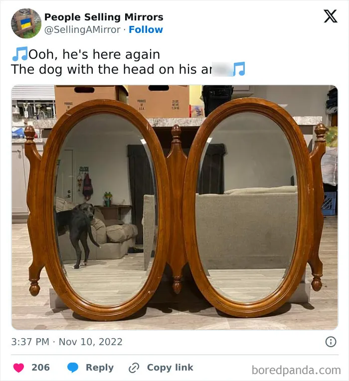This Page Shares Pics Of People Trying To Sell Mirrors, And It's Comedy Gold (40 New Pics)