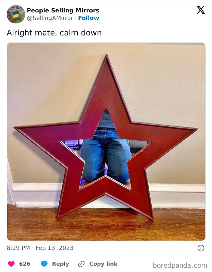 This Page Shares Pics Of People Trying To Sell Mirrors, And It's Comedy Gold (40 New Pics)