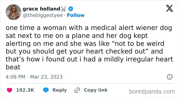 “Medical Alert Wiener Dog” Is The Best Combination Of Words I’ve Seen Today
