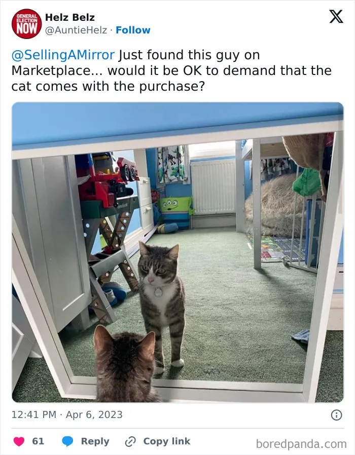 This Page Shares Pics Of People Trying To Sell Mirrors, And It's Comedy Gold (40 New Pics)