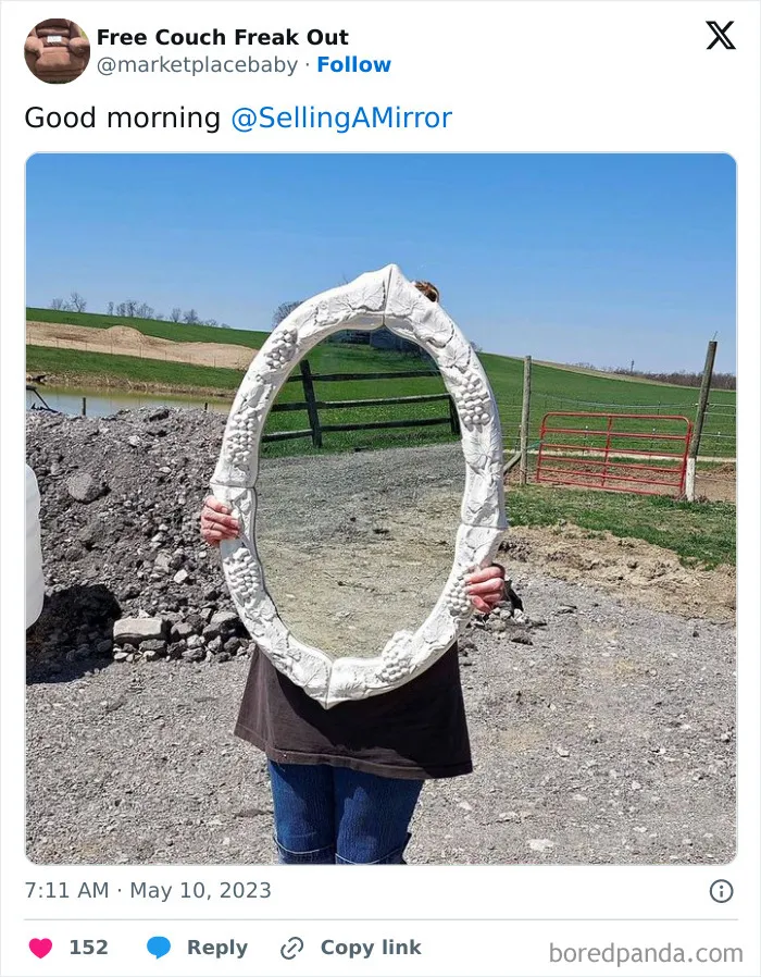 This Page Shares Pics Of People Trying To Sell Mirrors, And It's Comedy Gold (40 New Pics)
