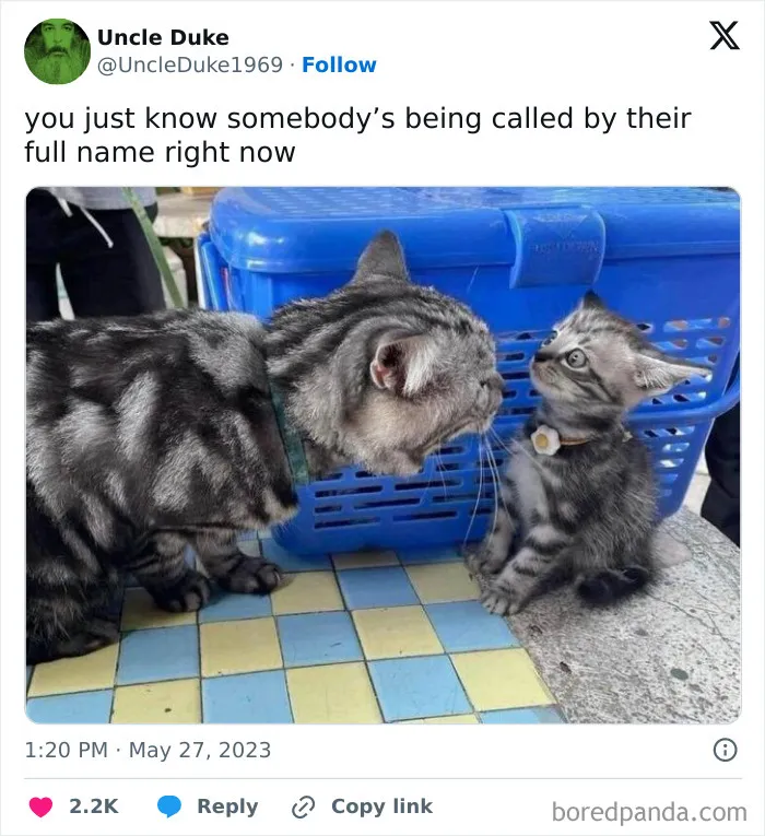 Someone’s In Big Trouble 