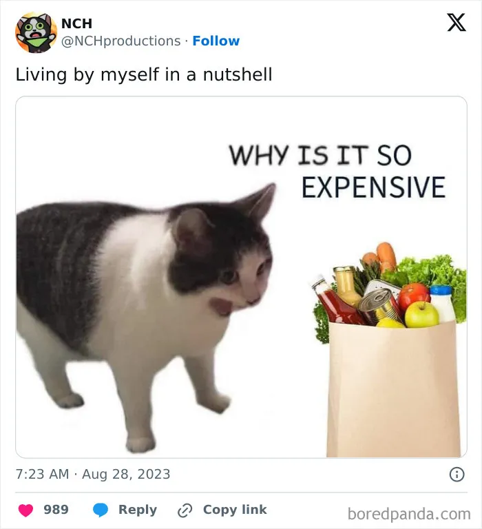 50 Funny Posts From People Who've Mastered Living By Themselves