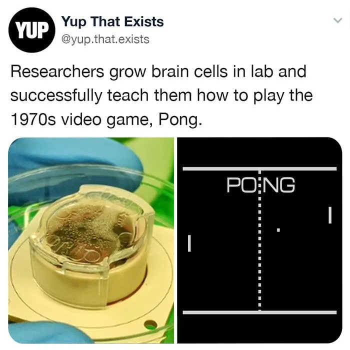 “Yup That Exists”: 50 Weird But Very Real Things, As Shared On This Online Page (New Pics)