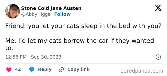 50 Hilarious And Relatable Memes Dedicated To All Things Feline