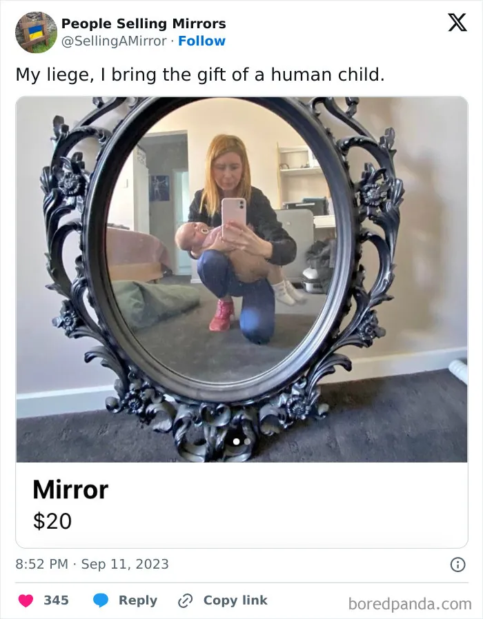 This Page Shares Pics Of People Trying To Sell Mirrors, And It's Comedy Gold (40 New Pics)