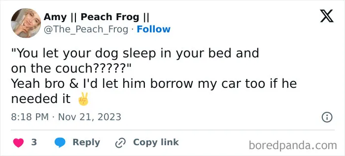 This Page Shares Hilarious Posts And Texts, Here Are The 50 Best Ones