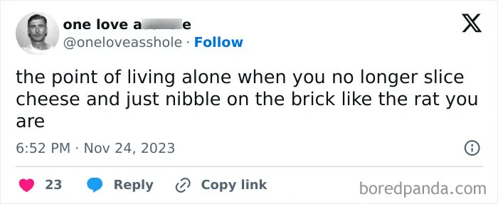 50 Funny Posts From People Who've Mastered Living By Themselves