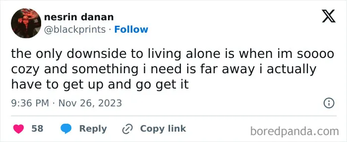 50 Funny Posts From People Who've Mastered Living By Themselves