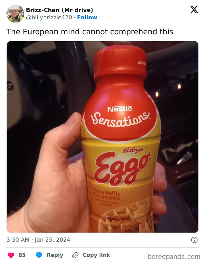 European-Mind-Cannot-Comprehend-This-Meme