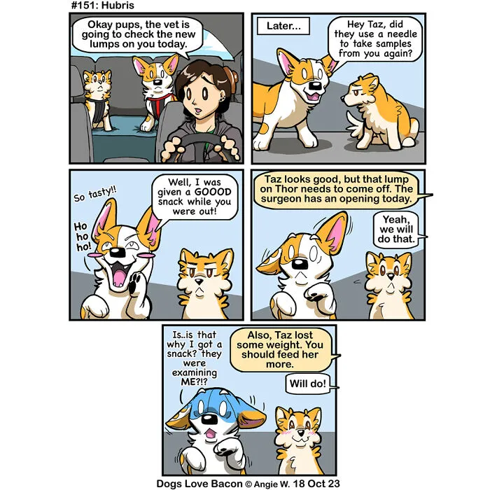 30 Comics About The Funny Reality Of Being A Dog Owner (New Pics)