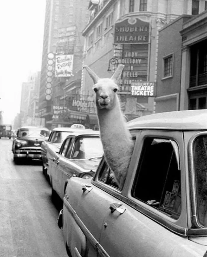 This Instagram Page With More Than 676K Followers Shares 30 Of The Best B&W Pics
