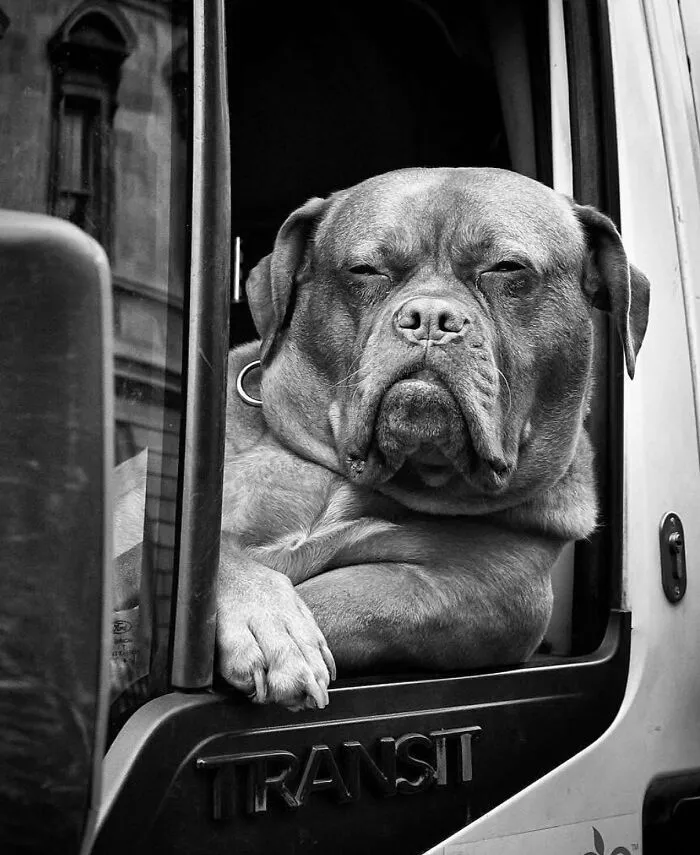 This Instagram Page With More Than 676K Followers Shares 30 Of The Best B&W Pics