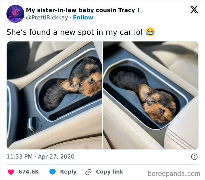 It's A Pup Holder