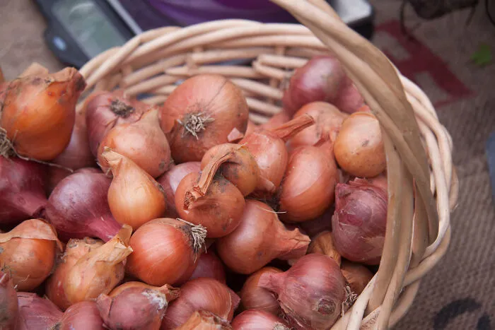 29 Pro Chefs Reveal Their “Secret Weapon” Ingredient Which Completely Changed The Way They Cook