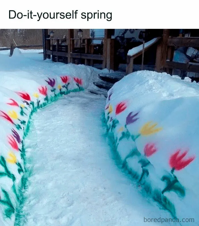 When You’re Bored Of Snow ☃️
