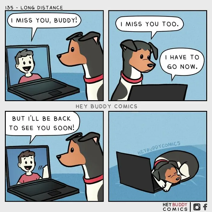 28 New ‘Hey Buddy Comics’ About The Bond Between People And Dogs