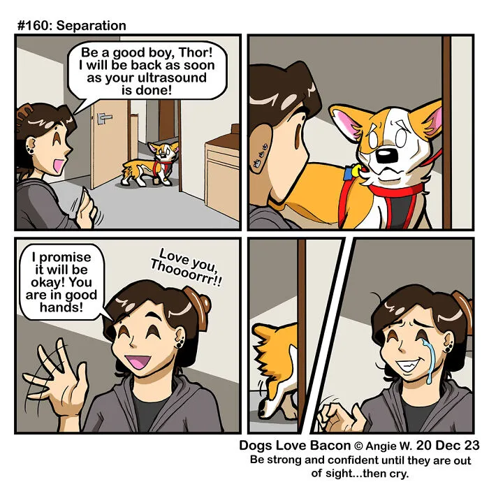 30 Comics About The Funny Reality Of Being A Dog Owner (New Pics)