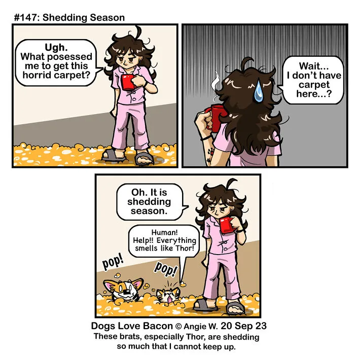 30 Comics About The Funny Reality Of Being A Dog Owner (New Pics)
