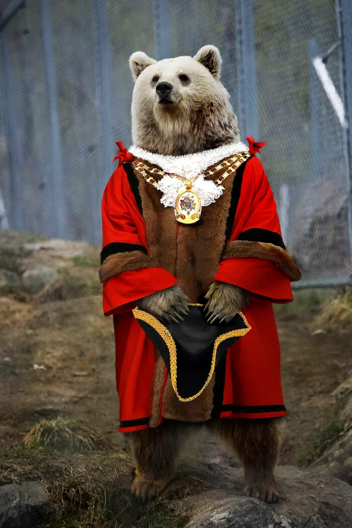 Designers Were Challenged To Dress-Up Animals In Human Clothing, Here Is How It Went (30 Pics)
