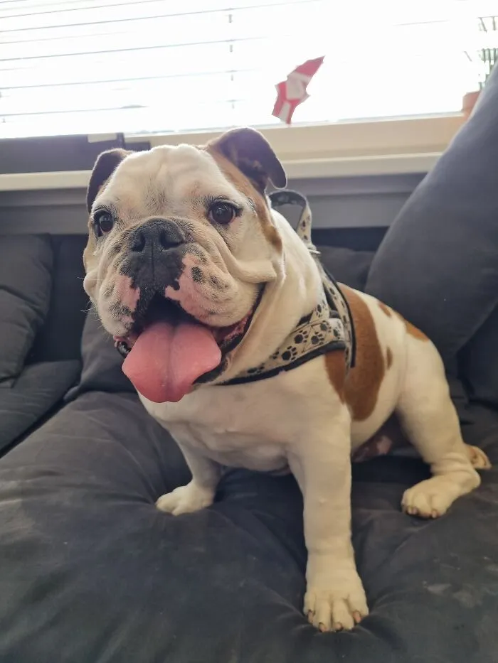 Sometimes I Bring Sushi With To Work - Here She Is In My Classroom (On The Couch); My Students Love Her