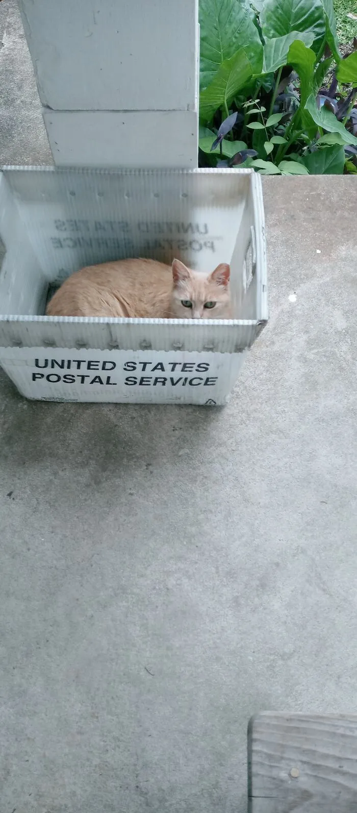 No Postage?