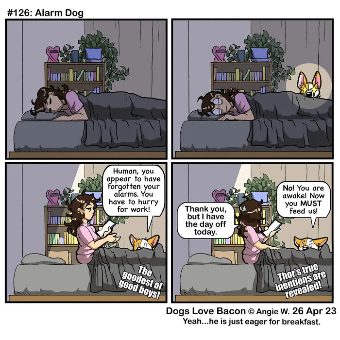 30 Comics About The Funny Reality Of Being A Dog Owner (New Pics)