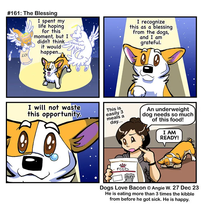 30 Comics About The Funny Reality Of Being A Dog Owner (New Pics)