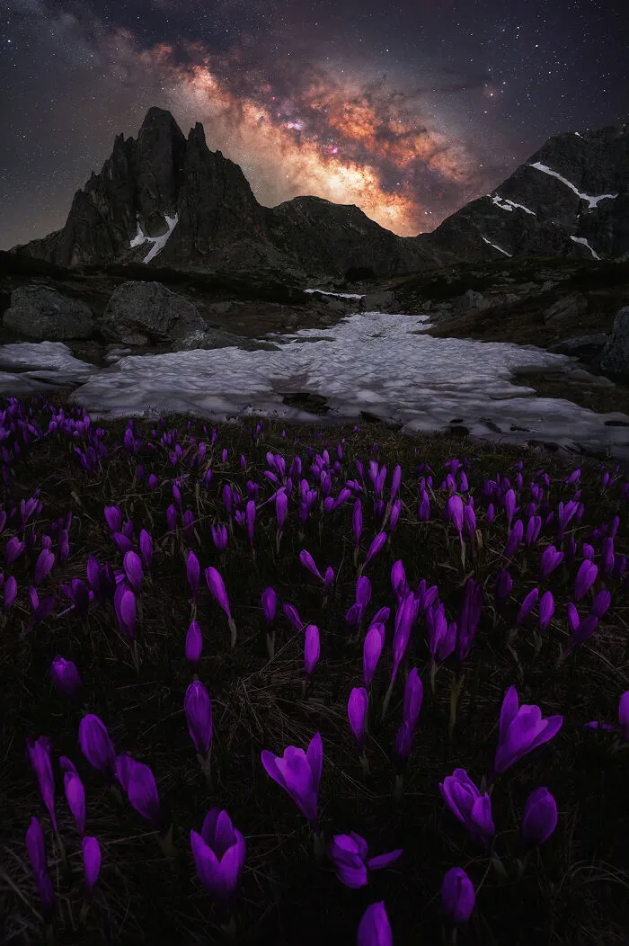 A Spring Night In The Mountain